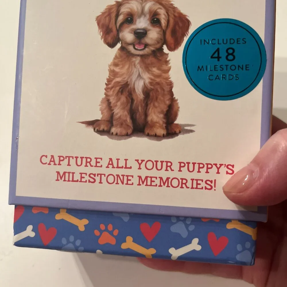 NFS  Milestone Cards Set with Wooden Holder for First Year Memories (k/x) (NEW